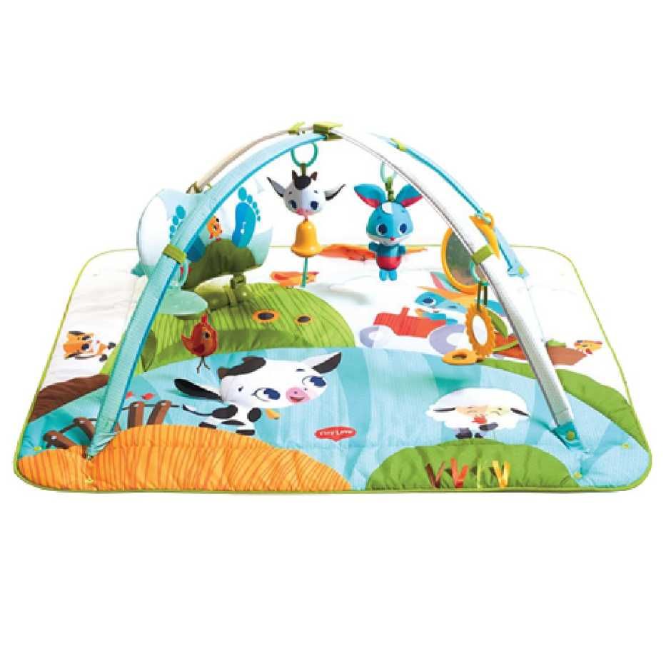 Gemini Baby Essentials homechoice